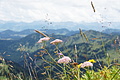 DSC08163 - Bernhard Saalfeld