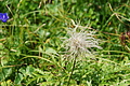 DSC08165 - Bernhard Saalfeld