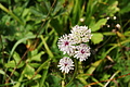 DSC08169 - Bernhard Saalfeld
