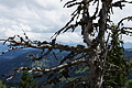 DSC08170 - Bernhard Saalfeld