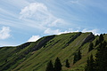 DSC08174 - Bernhard Saalfeld