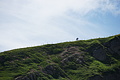 DSC08178 - Bernhard Saalfeld