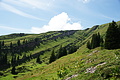 DSC08179 - Bernhard Saalfeld