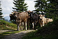 DSC08190 - Bernhard Saalfeld