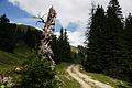 DSC08196 - Bernhard Saalfeld