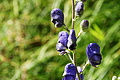 DSC08197 - Bernhard Saalfeld