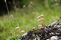 DSC08203 - Bernhard Saalfeld