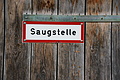 DSC08247 - Bernhard Saalfeld