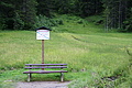 DSC08248 - Bernhard Saalfeld