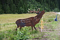 DSC08250 - Bernhard Saalfeld