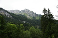 DSC08252 - Bernhard Saalfeld