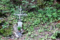 DSC08256 - Bernhard Saalfeld