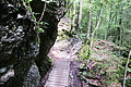 DSC08291 - Bernhard Saalfeld