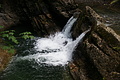 DSC08311 - Bernhard Saalfeld