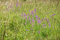 DSC08329 - Bernhard Saalfeld