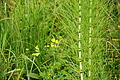 DSC08330 - Bernhard Saalfeld