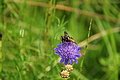 DSC08331 - Bernhard Saalfeld