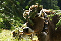 DSC08334 - Bernhard Saalfeld