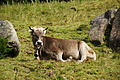 DSC08338 - Bernhard Saalfeld