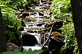 DSC08345 - Bernhard Saalfeld