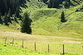 DSC08346 - Bernhard Saalfeld