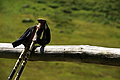 DSC08353 - Bernhard Saalfeld