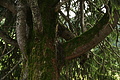 DSC08356 - Bernhard Saalfeld