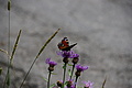 DSC08364 - Bernhard Saalfeld