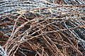 DSC08366 - Bernhard Saalfeld