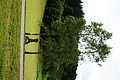 DSC08369 - Bernhard Saalfeld