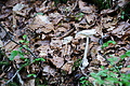 DSC08371 - Bernhard Saalfeld