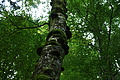 DSC08379 - Bernhard Saalfeld
