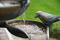 DSC08388 - Bernhard Saalfeld