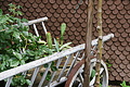 DSC08410 - Bernhard Saalfeld