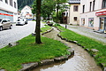 DSC08415 - Bernhard Saalfeld