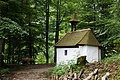 DSC08425 - Bernhard Saalfeld