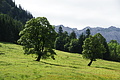 DSC08446 - Bernhard Saalfeld