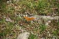 DSC08452 - Bernhard Saalfeld