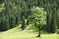 DSC08453 - Bernhard Saalfeld
