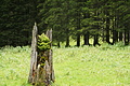 DSC08454 - Bernhard Saalfeld