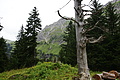 DSC08489 - Bernhard Saalfeld