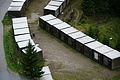 DSC08533 - Bernhard Saalfeld