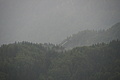 DSC08543 - Bernhard Saalfeld