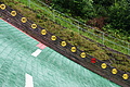 DSC08595 - Bernhard Saalfeld