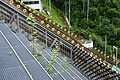 DSC08603 - Bernhard Saalfeld