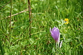 DSC08617 - Bernhard Saalfeld