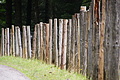DSC08637 - Bernhard Saalfeld