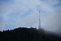 DSC08638 - Bernhard Saalfeld