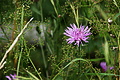 DSC08641 - Bernhard Saalfeld