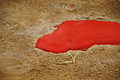 DSC08654 - Bernhard Saalfeld